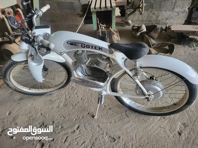 retro classic vintage style electric bike