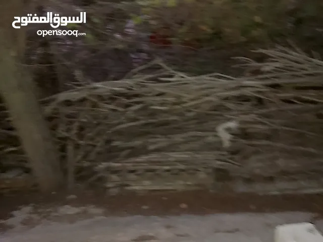 تشكيلة حطب للبيع