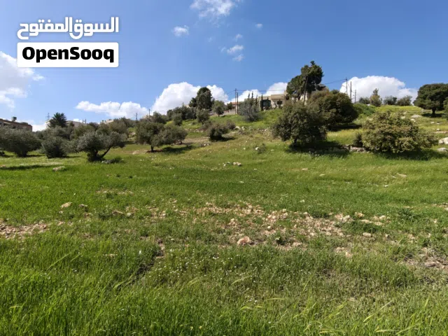 Mixed Use Land for Sale in Amman Bilal