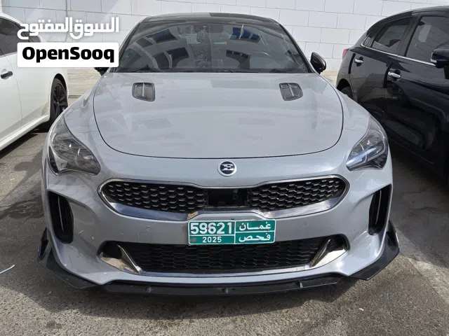 2019 كيا ستينجر GT1