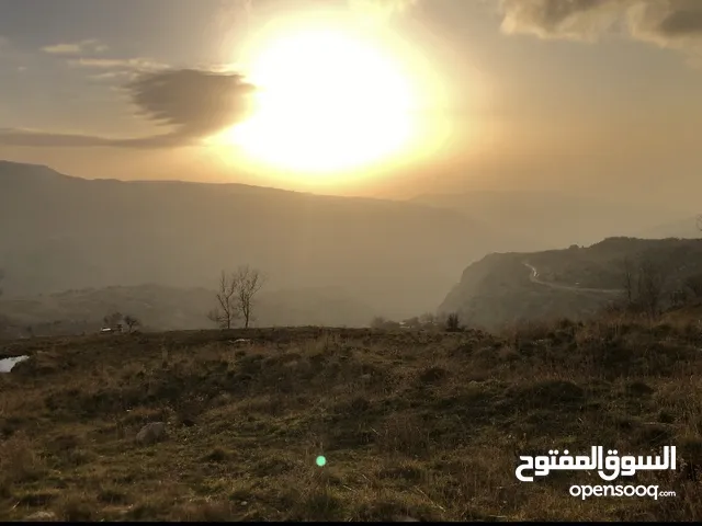 اراضي و شقق و شاليهات
