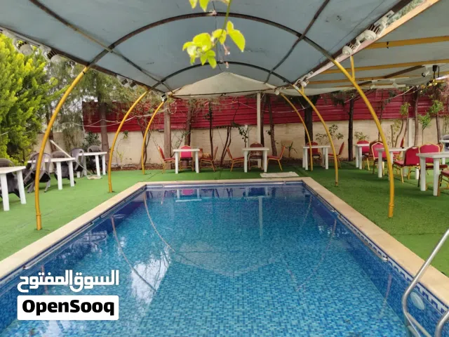 مزرعة الماجد