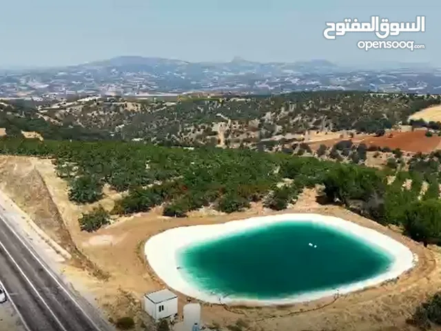 Studio Farms for Sale in Al Ain Mazyad