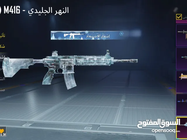 Pubg Accounts and Characters for Sale in Irbid