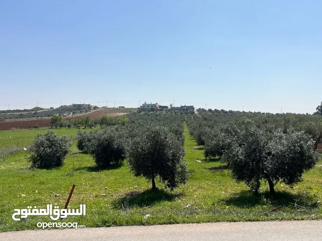 Residential Land for Sale in Amman Husban