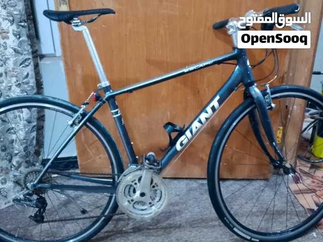 جاينت امريكي ولويس كندي ومارين امريكي