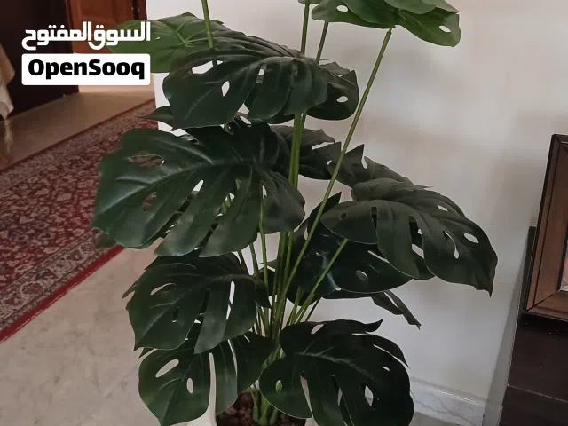 1-زريعة زينة  اصطناعية داخلية داخل البيوت ومداخل الصالونات والمنازل مع قوار فيبر مقوى واحجار ممتازة