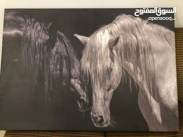 كاترو للبيع