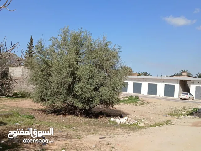 Commercial Land for Sale in Tripoli Al-Kremiah