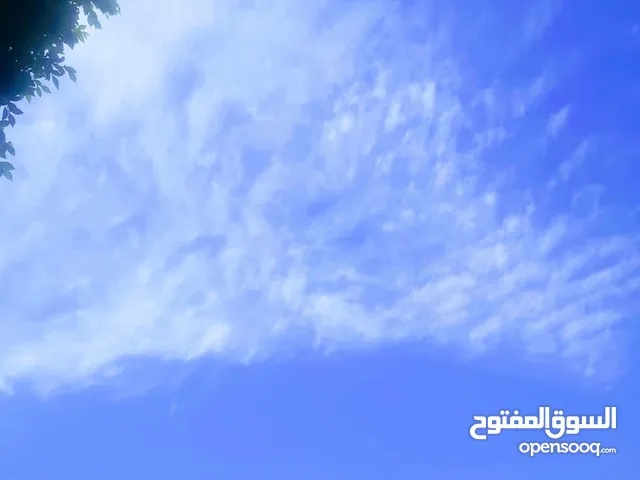 مطلوب شريك ممول لمشروع هندسي (بأرباح شهرية)
