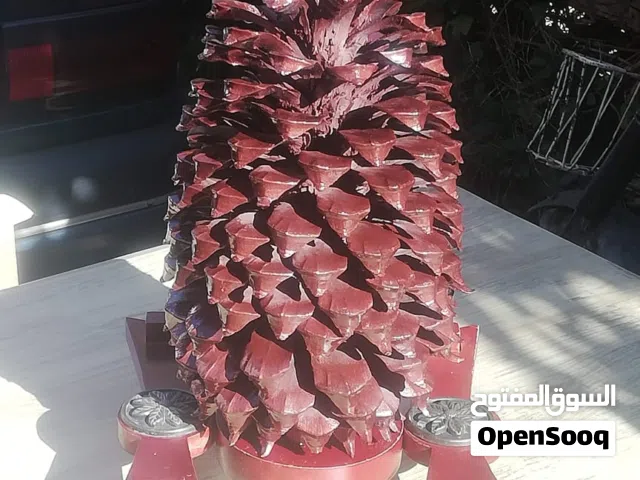 ديكور جميل منزلي او اداري