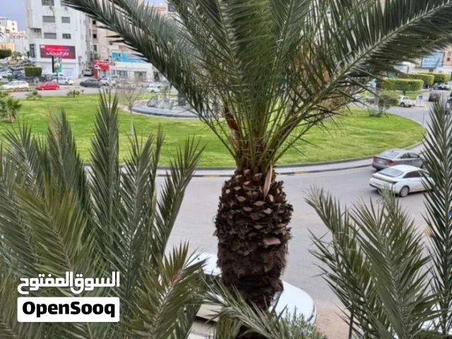 محل لايجار 35م رئسي سهاء شارع عالم بكلاوة