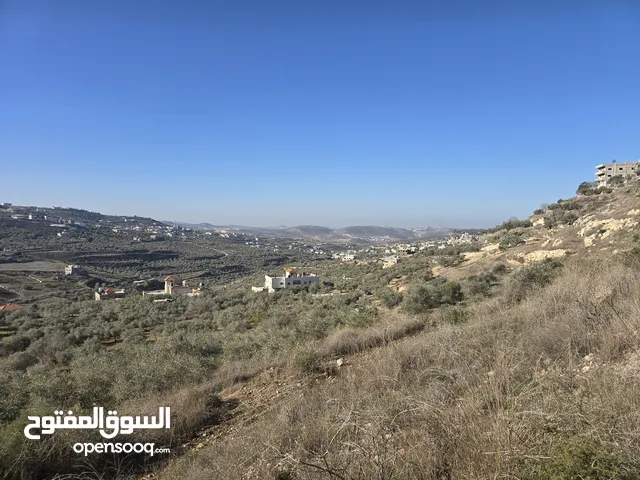 Mixed Use Land for Sale in Nablus Other
