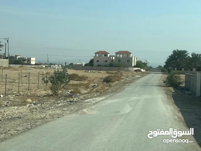 ارض للبيع في مدينه اريحا