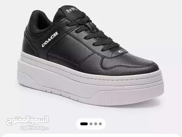 40.5 Sport Shoes in Amman
