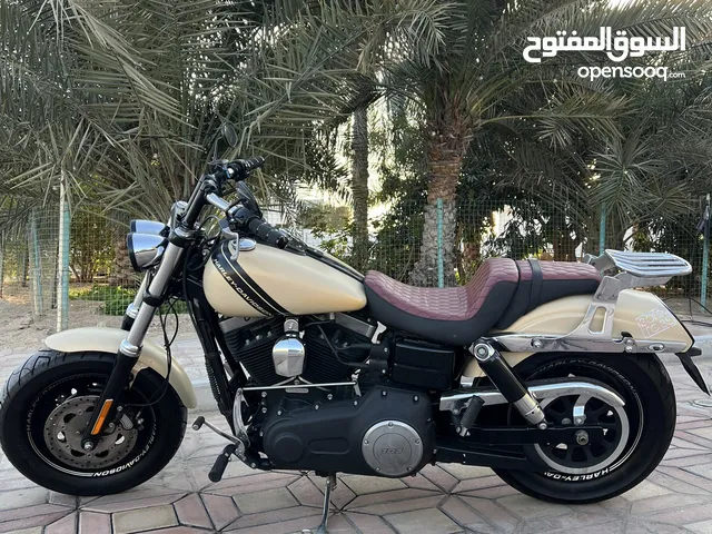 Harley Fat Bob 2014