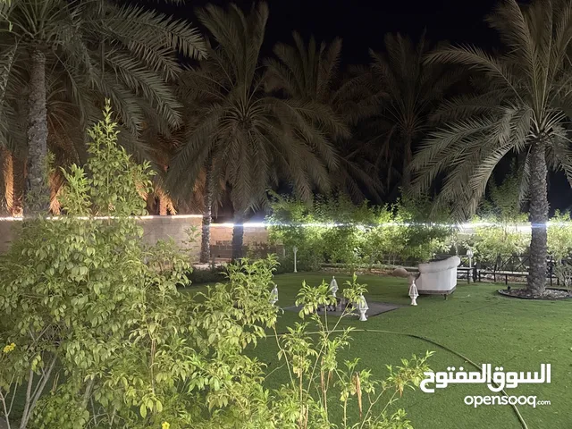 Farm Land for Rent in Fujairah Other