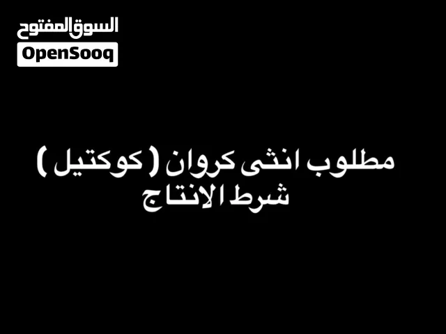 مطلوب انثى كروان ( كوكتيل ) شرط الانتاج