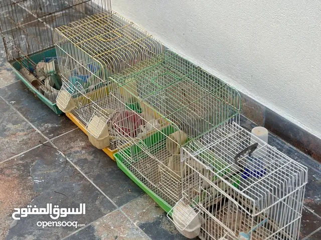 4 اقفاص عصافير. مختلفت الحجم مستعملات. ومعام ملحقات