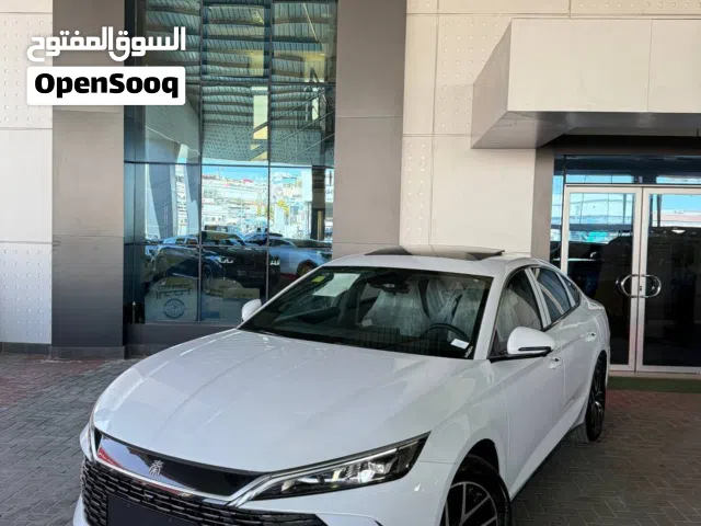 2024 بي واي دي كين