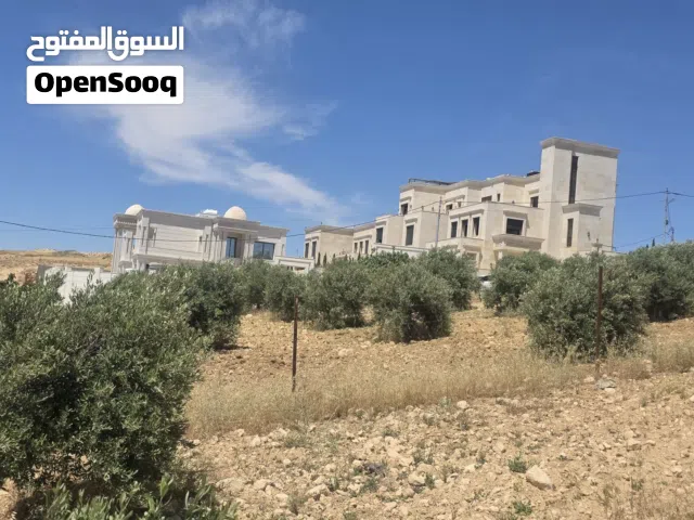 Residential Land for Sale in Amman Abu Nsair