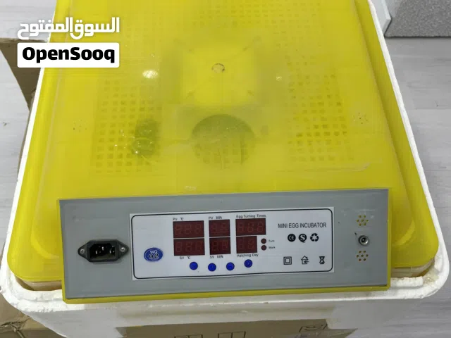 حضانة صينية