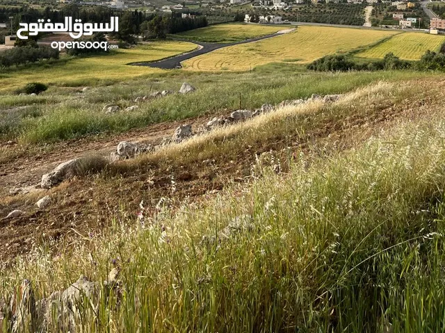 Residential Land for Sale in Amman Naour