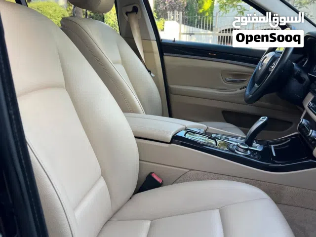 2013 BMW 5 Series 520