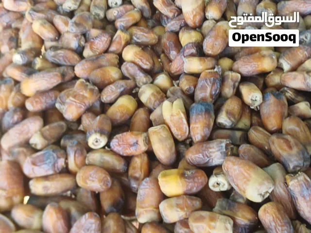 رطب وسح نغال للبيع