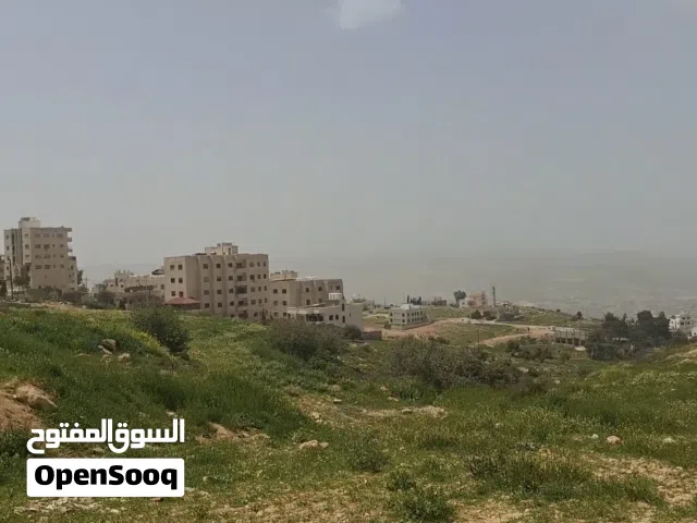 Residential Land for Sale in Amman Abu Nsair