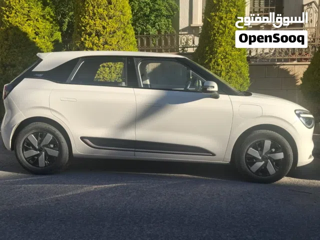 2024 دونج فينج نامي بوكس