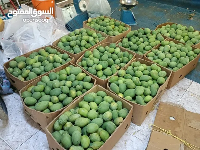 مطلوب كراتين فاضية بسعر جيد