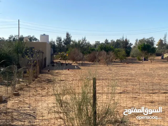 Residential Land for Sale in Zawiya Other