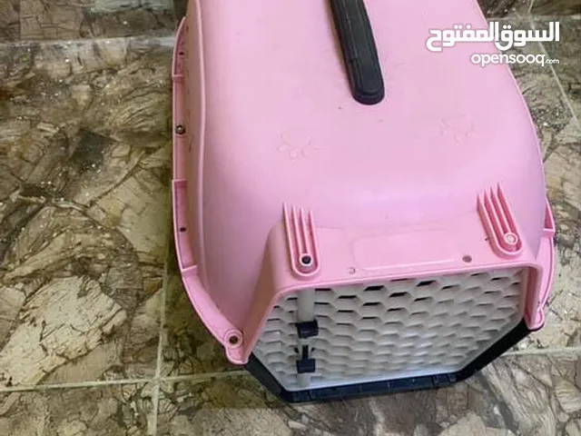 أغراض قطط جديده