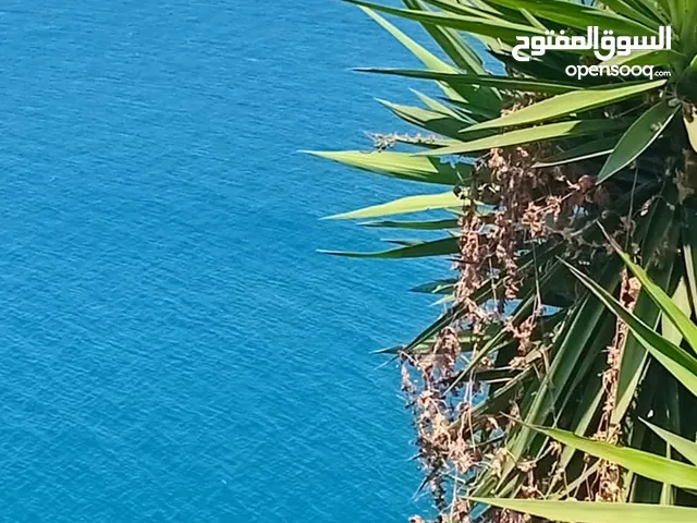 شقة للايجار