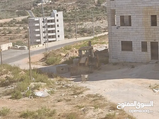 مطلوب مدربة دبكة وفلكلور شعبي في رام الله