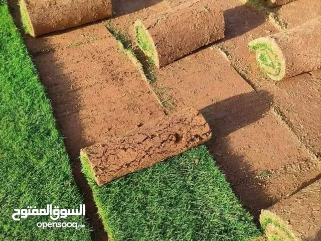 ثيل طبيعي هندي درجه اولى توصل كاقه المحافضات