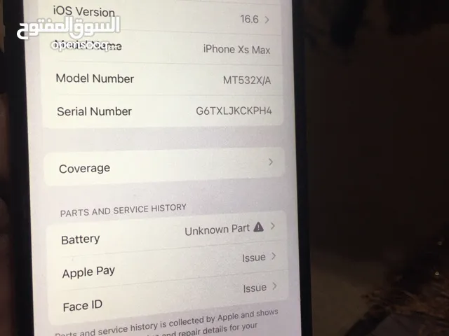 Apple iPhone XS Max 256 GB in Amman