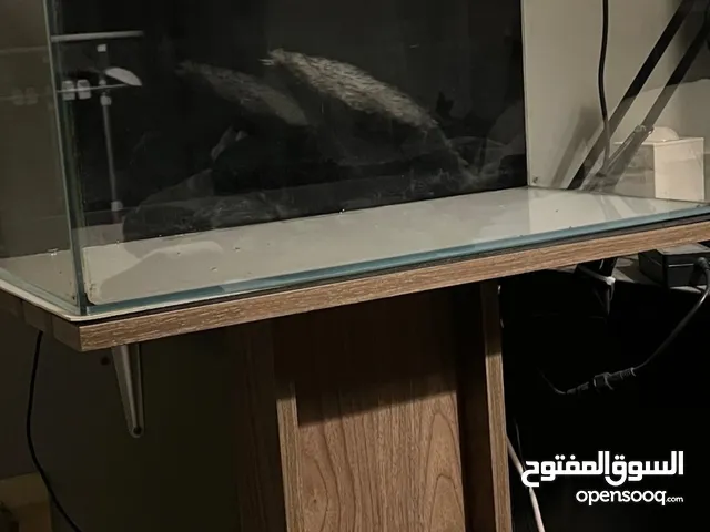 حوض سمك كرستال مع قاعدة خاصة به