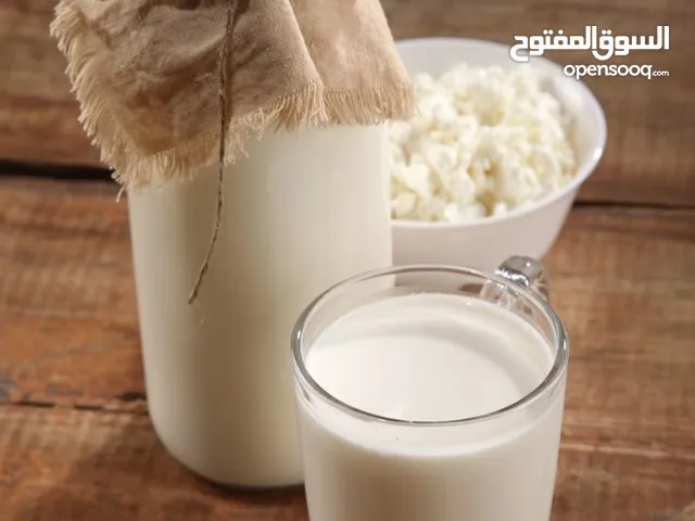 سرّ الصحة والمعدة الحديدية الفطر الهندي الأصلي بين إيديك!