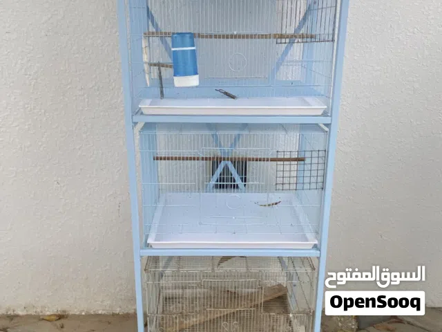 اقراء التفاصيل