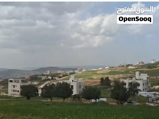 ارض للبيع في صافوط ابومرهف الشمالي منطقة فلل مميزه