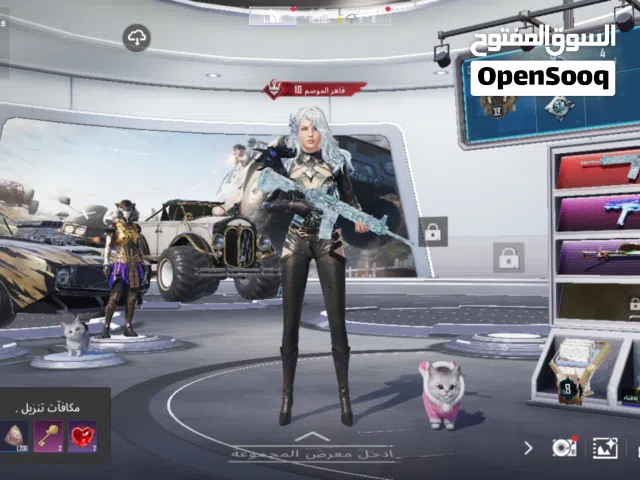 Pubg Accounts and Characters for Sale in Mosul