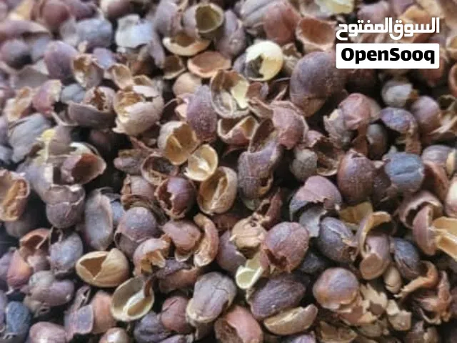 اليمني لتصدير أجود انواع البُن