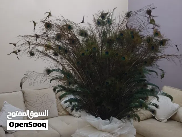 مزهرية ريش طاوس