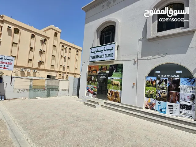 عيادة السراج المنیر البيطرية ،مستعدون لتقديم الخدمات لعملائنا الكرام. شمال باطنة،مدينة صحار
