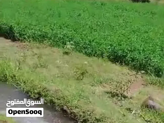 *مزرعه للبيع*   شهادة بحث حديثه وكروكي للمزرعه* *3 فدان*