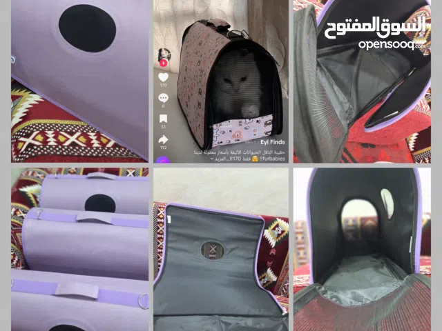 جنطة تنقل للقطط