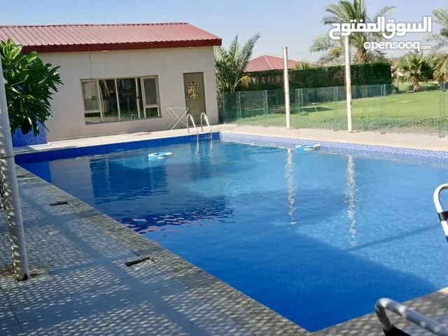 للإيجار اليومي مزرعة للعائلات بالوفرة