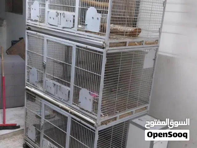 قفص للطيور